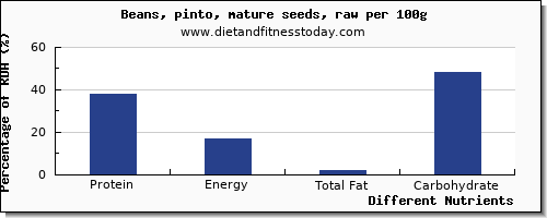 chart to show highest protein in pinto beans per 100g